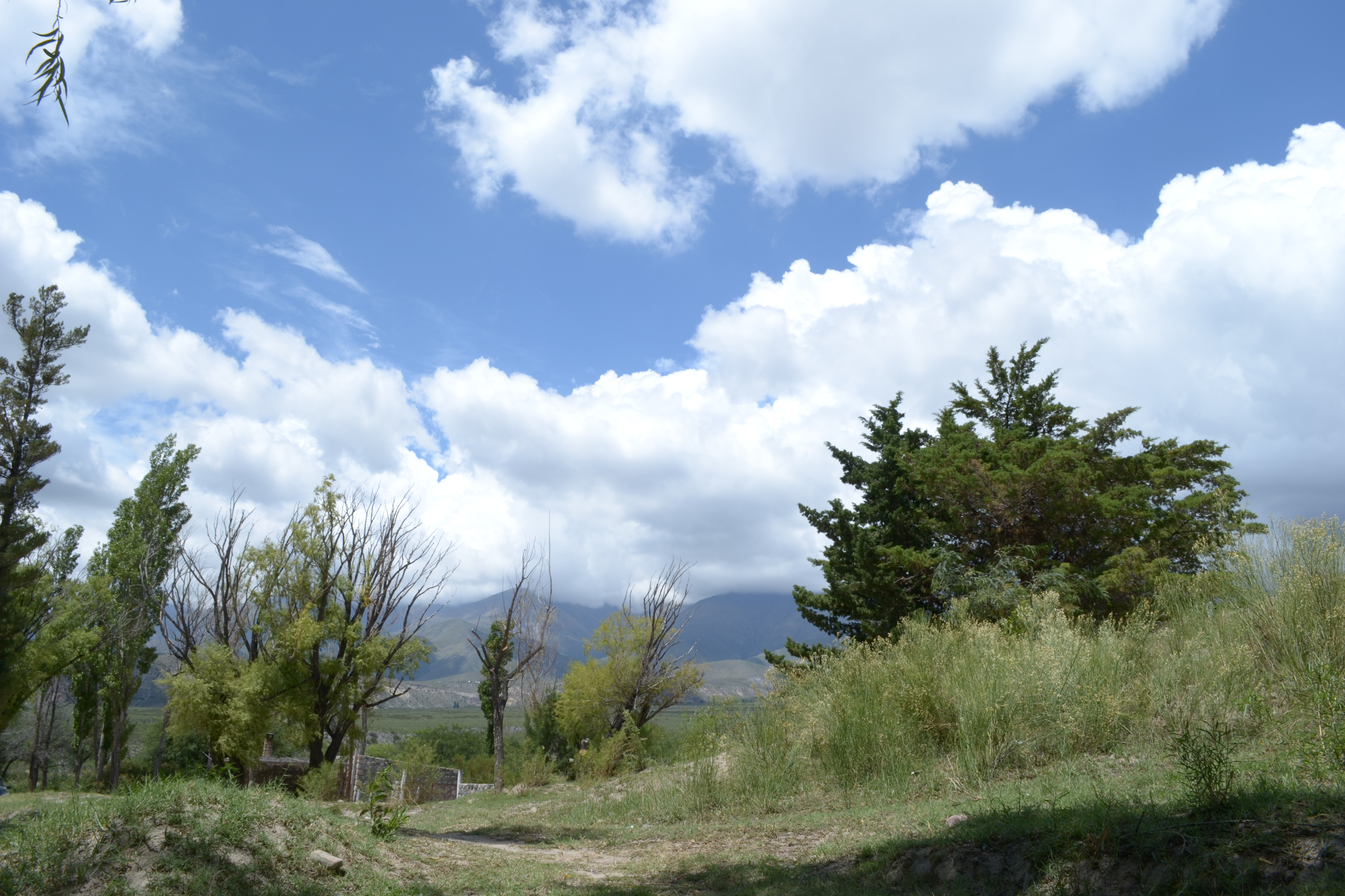 Amaicha del Valle Mountains